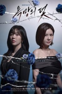 A Trap Called Desire (2026) poster