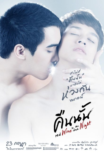 Poster of Red Wine in the Dark Night (2015)