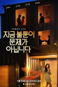 The Affair Was Just the Beginning (2026) poster