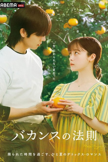Poster of The Vacation Principle (2026)